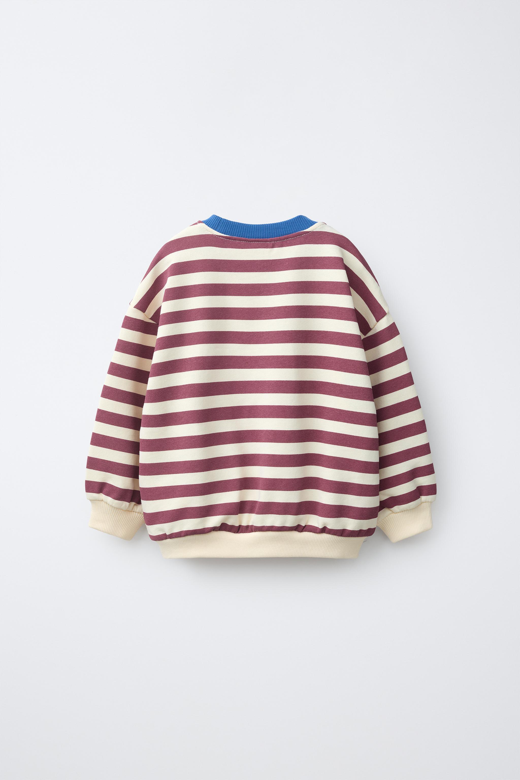 STRIPED PRINT SWEATSHIRT — Ecru / Maroon (alternate view)