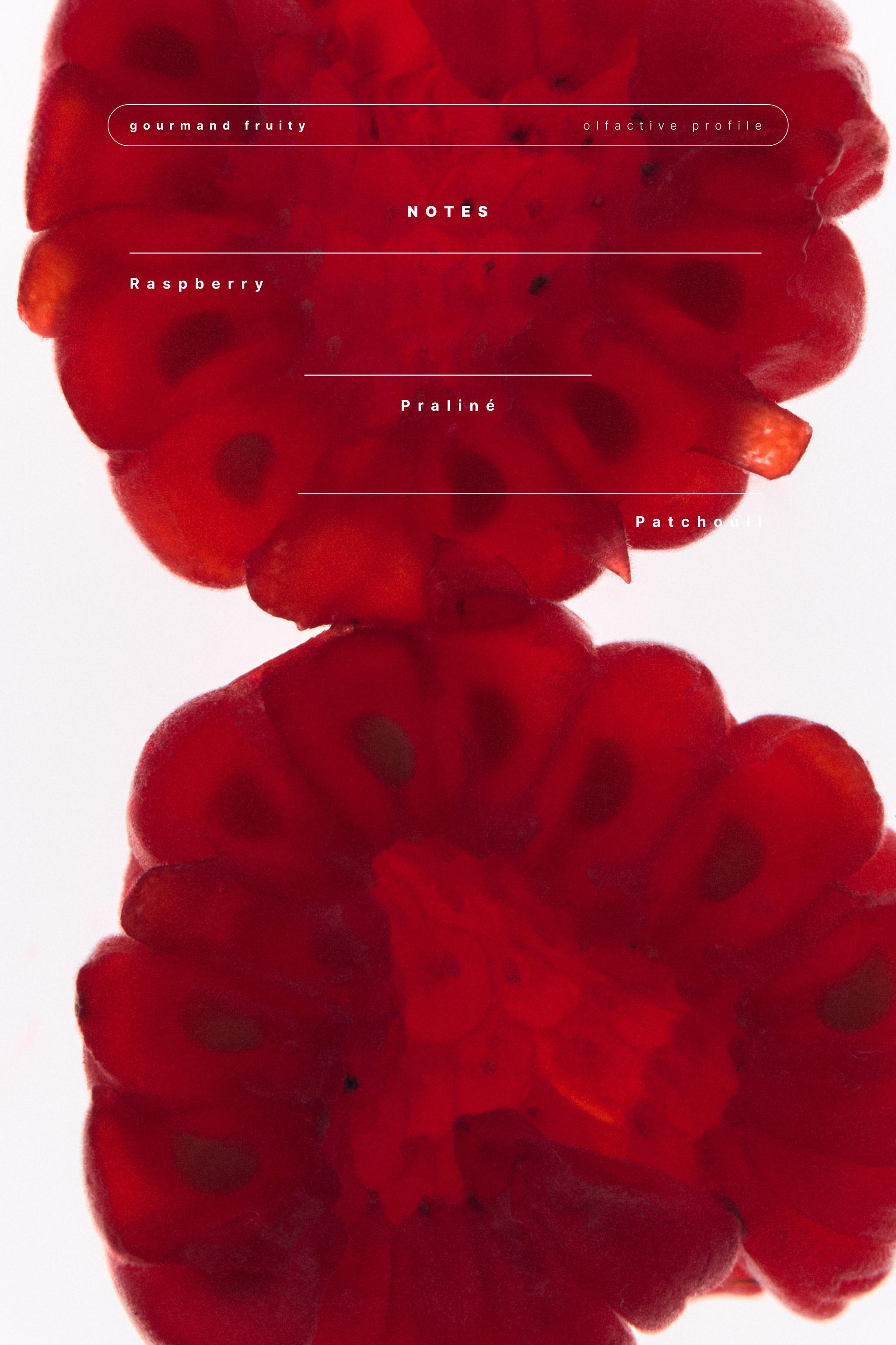 RED VANILLA EDT 90ML (3.04 FL. OZ).