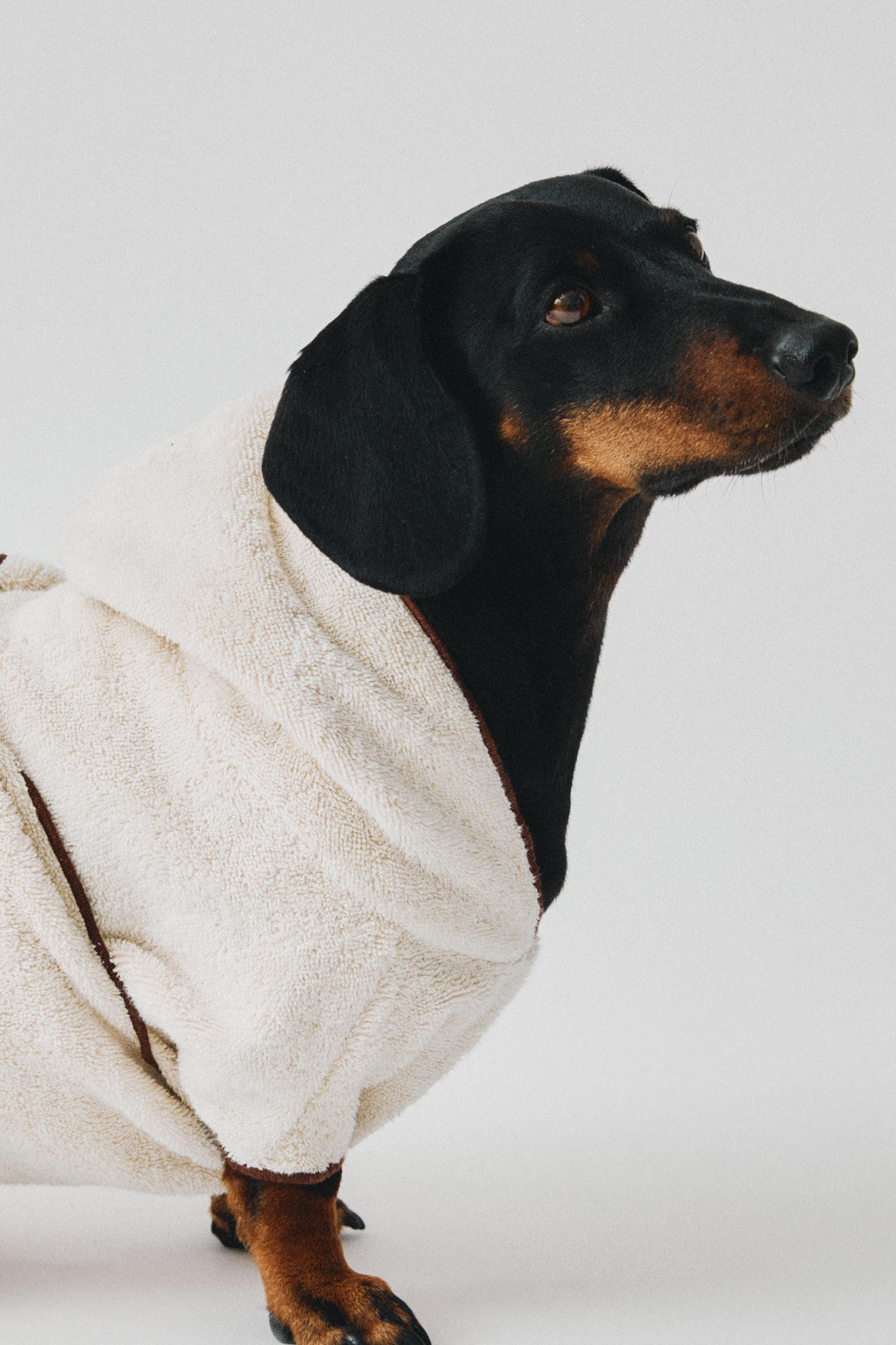 COTTON PET BATHROBE — Ecru