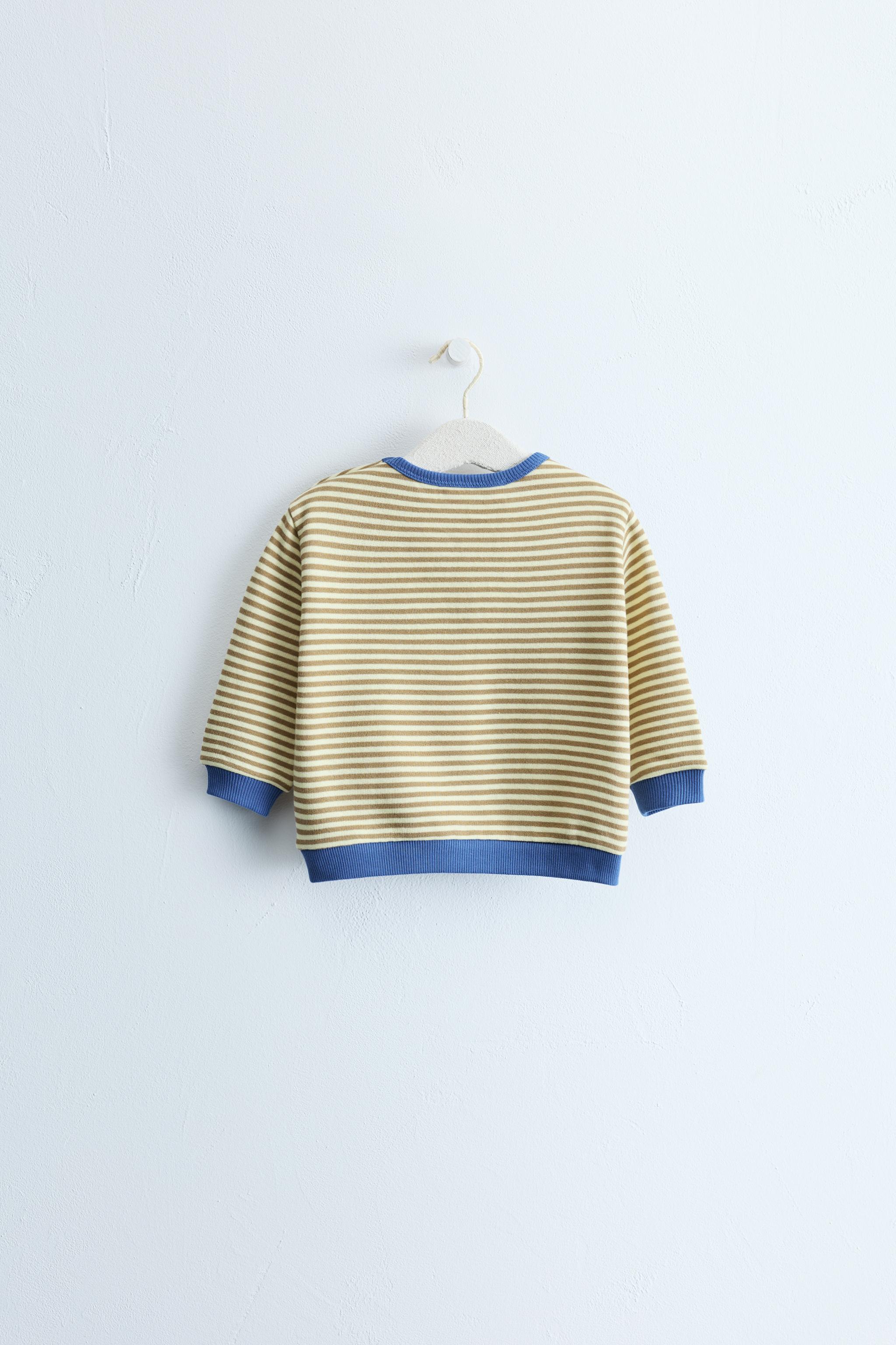 ZARA TIMELESS - SWEAT IMPRIMÉ À RAYURES