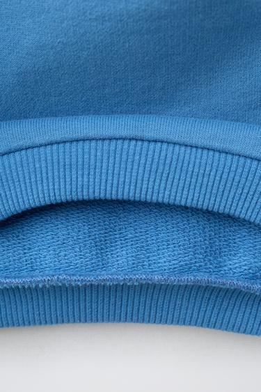 EMBROIDERED TERRY PELICAN SWEATSHIRT - Blue by Zara - Image 3