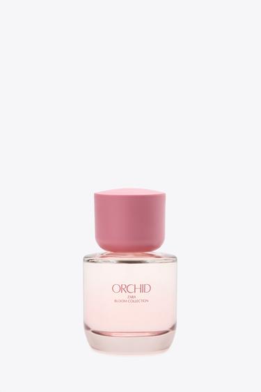 ORCHID 오드 퍼퓸 50ML (1.7 FL. OZ). - Zara 물들인 가죽