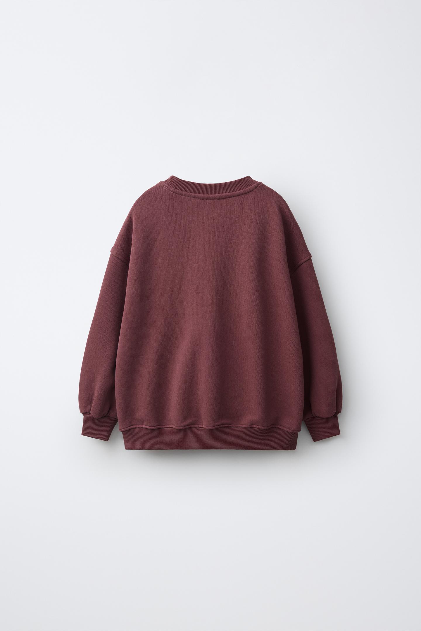 Детская толстовка Zara Farm Embroidery, цвет: Бордовый — фото 2