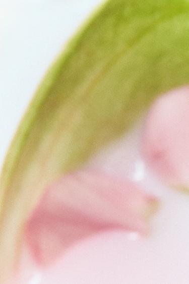 TWILIGHT MAUVE SUMMER EDT 90 ML -  de Zara - Image 2