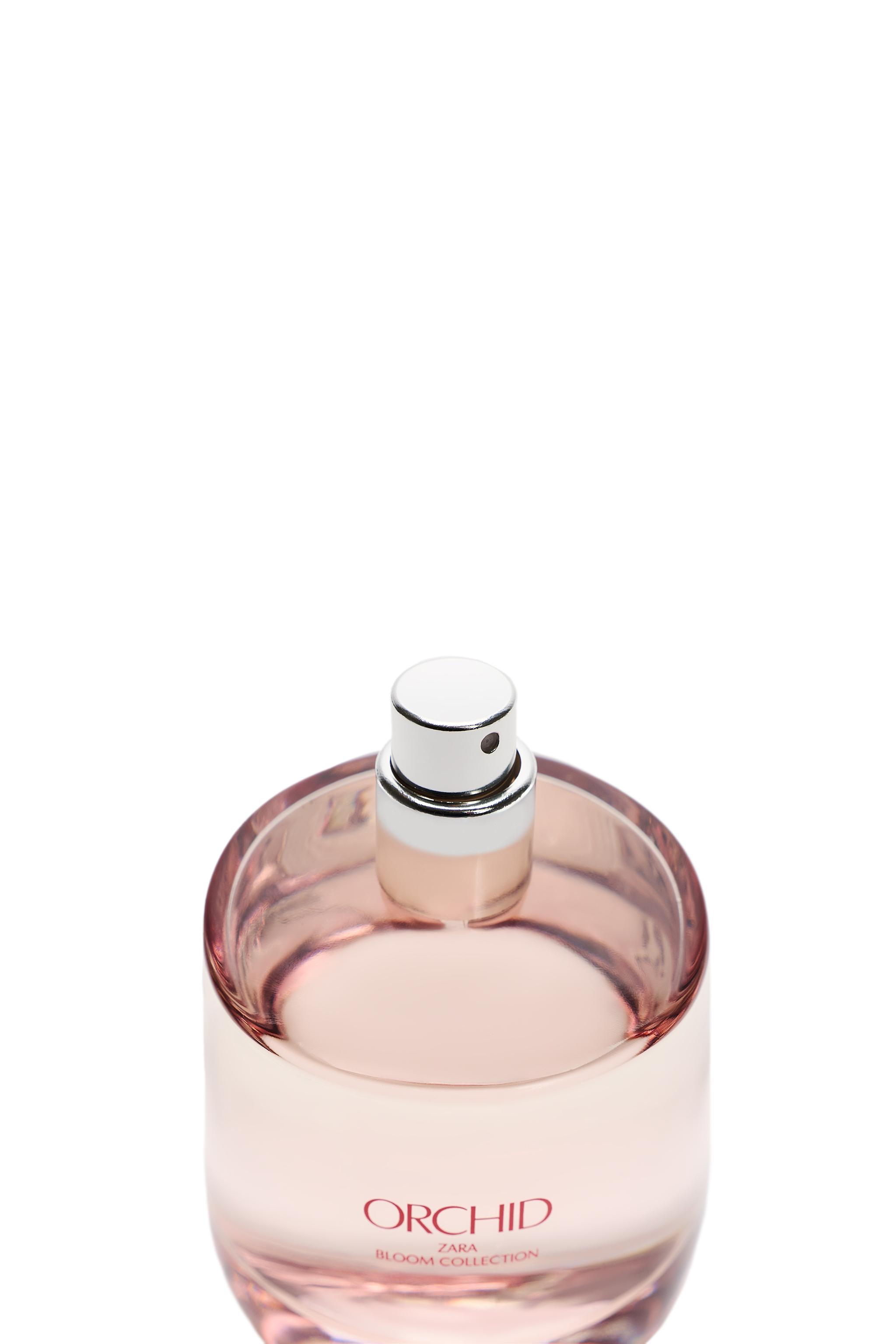 eau de parfum zara orchid