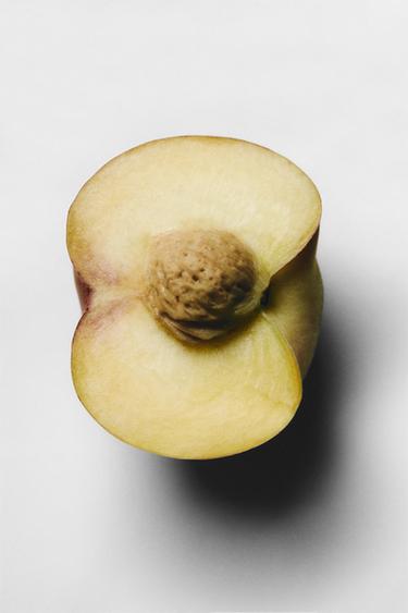 SHADES OF LUST EDP 100ML (3.4 FL.OZ). -  by Zara - Image 0