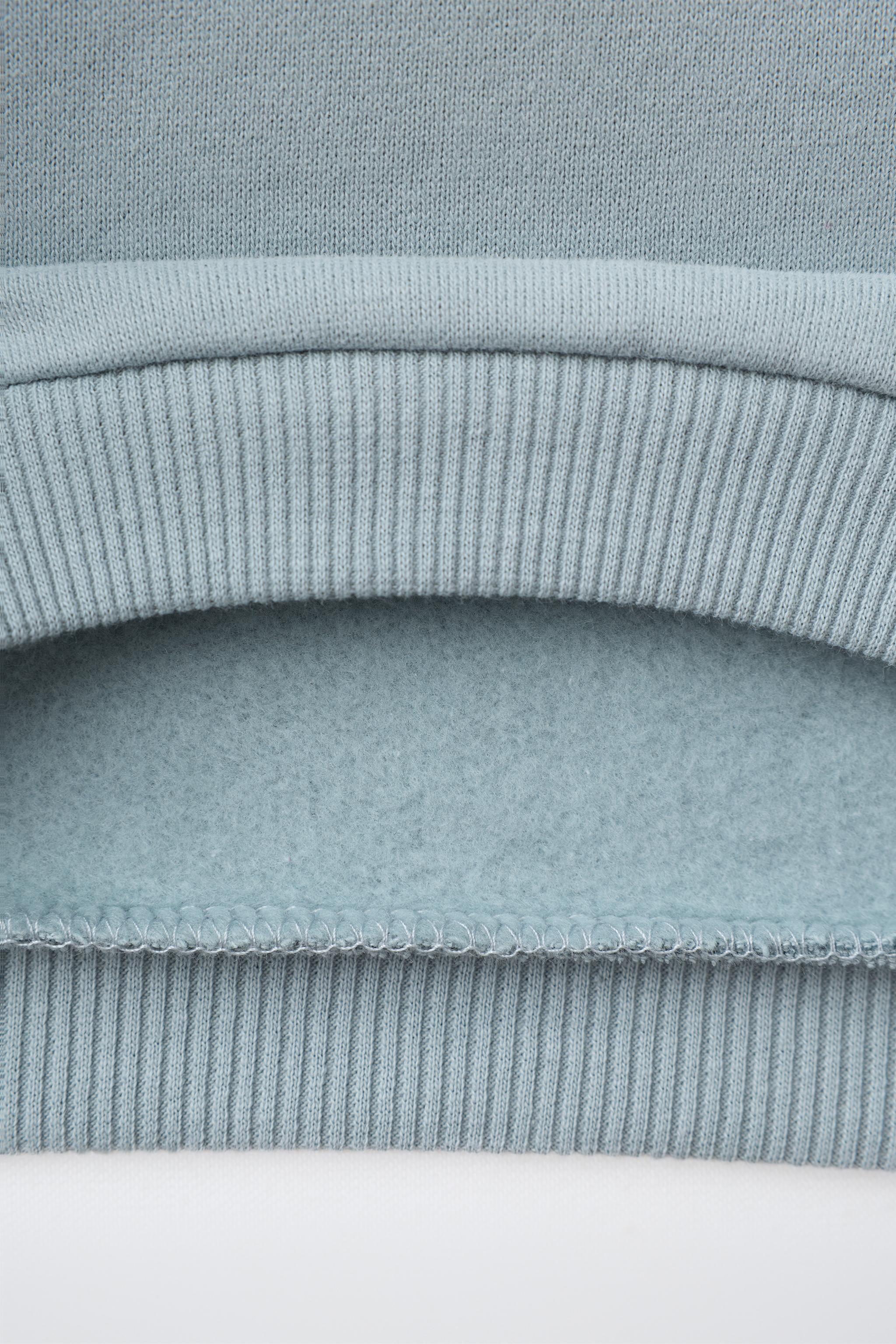 メクセンシスザラゴーサ HEDGEHOG EMBROIDERY SWEATSHIRT - Bluish | ZARA United States