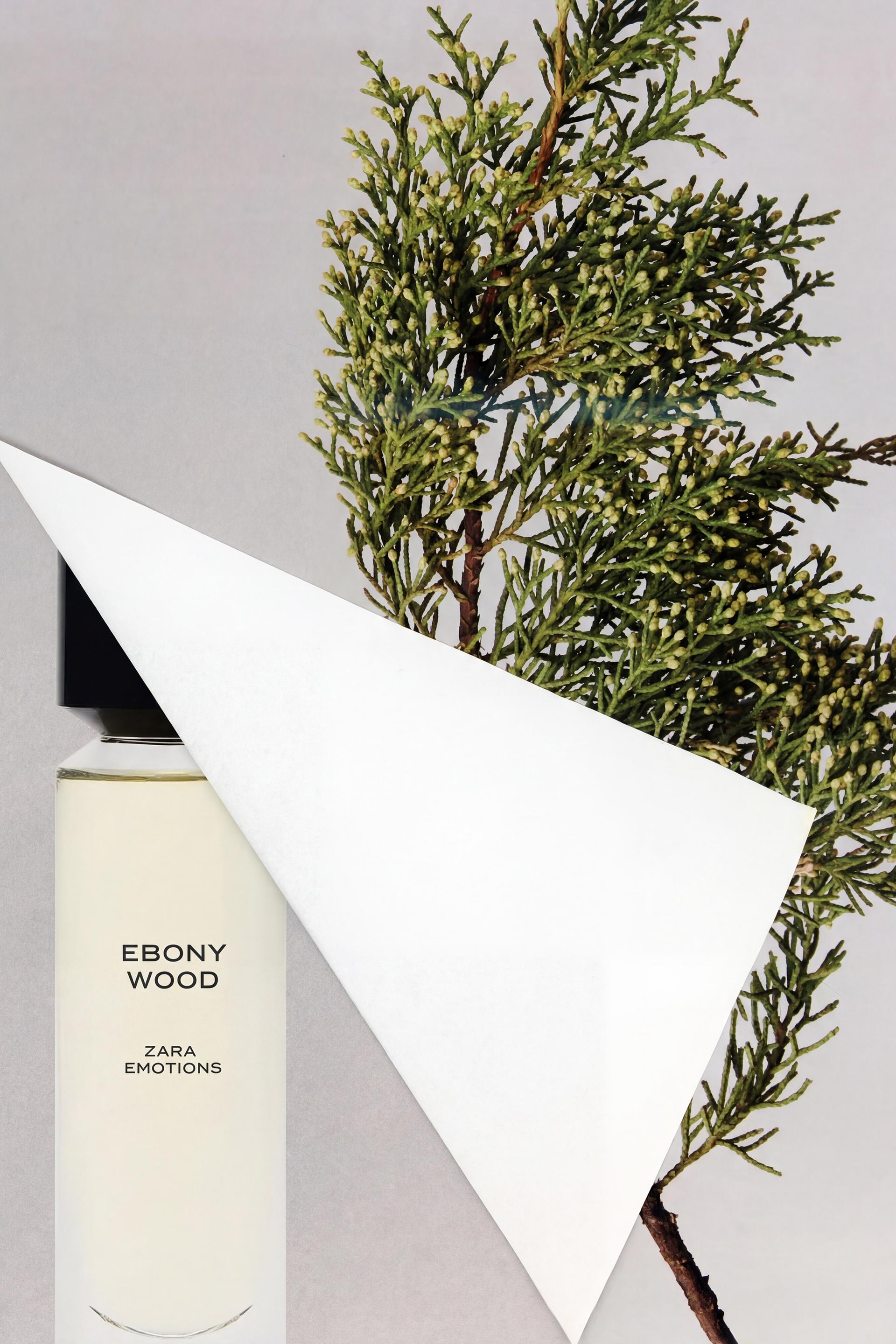 zara ebony wood woda perfumowana 30 ml     