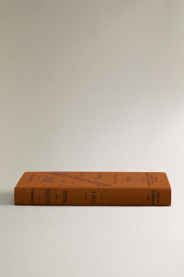 ATLAS DE POCHE DES OISEAUX DE FRANCE SÉR. 2 BOOK - Ochre by Zara - Image 1
