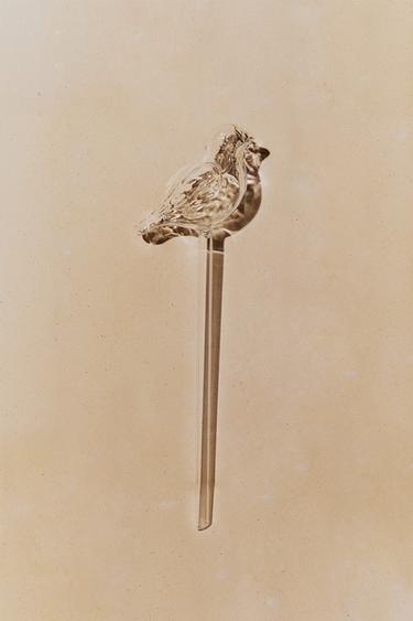 BULLE ARROSAGE OISEAU JARDIN - Transparent de Zara - Image 4