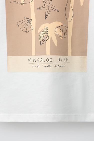 EMBROIDERED TEXT T-SHIRT - White by Zara - Image 3