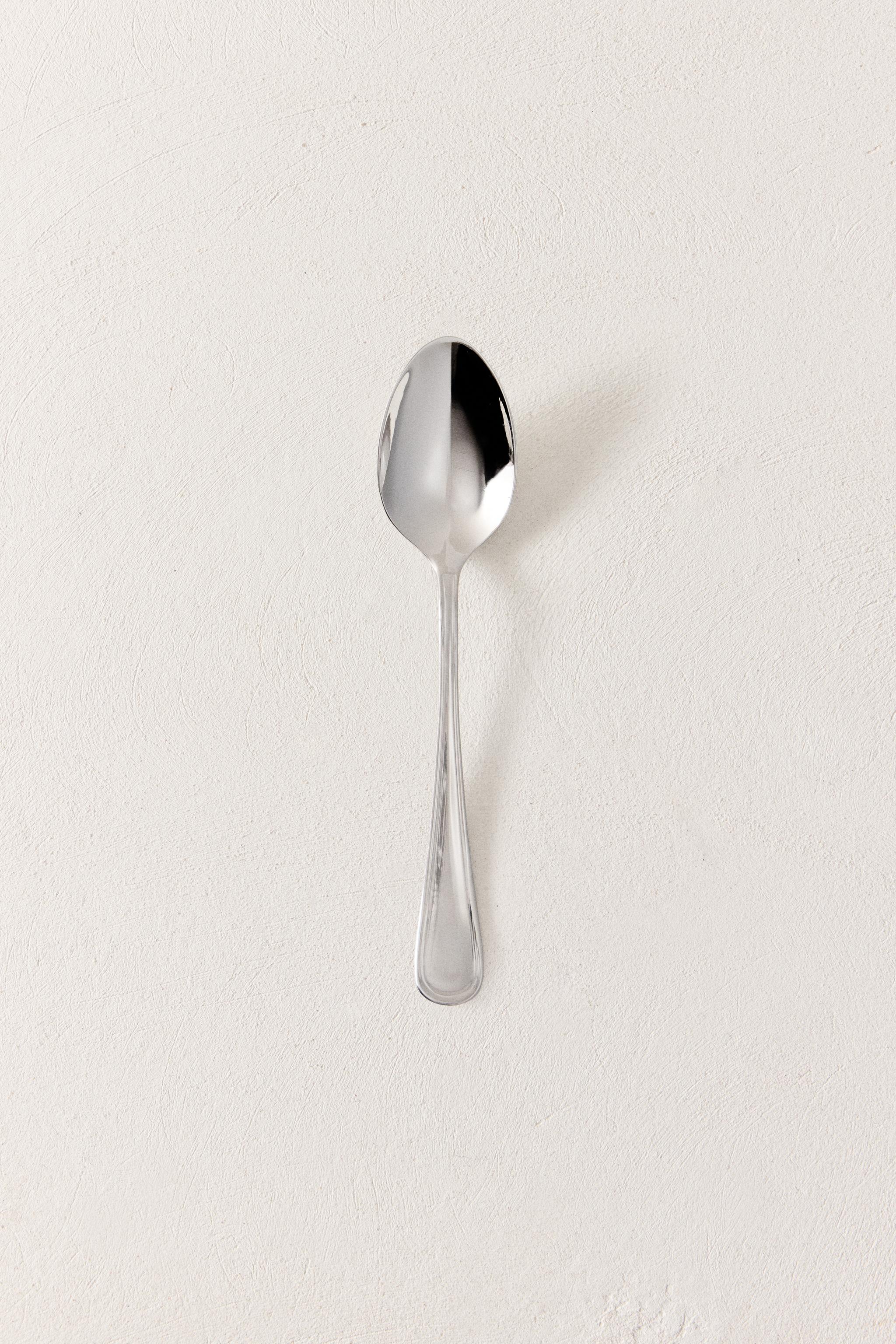 SHINY STEEL SPOON