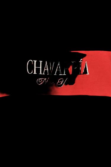 POLO COLOR BLOCK BORDADO WILLY CHAVARRIA X ZARA - Negro de Zara