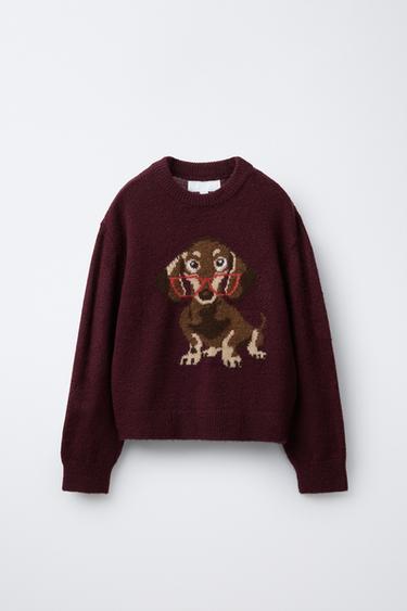 EMBROIDERED DOG KNIT SWEATER - Burgundy by Zara - Image 0
