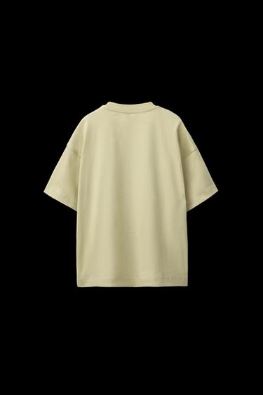 PLAIN MEDIUM WEIGHT T-SHIRT - Pistachio by Zara