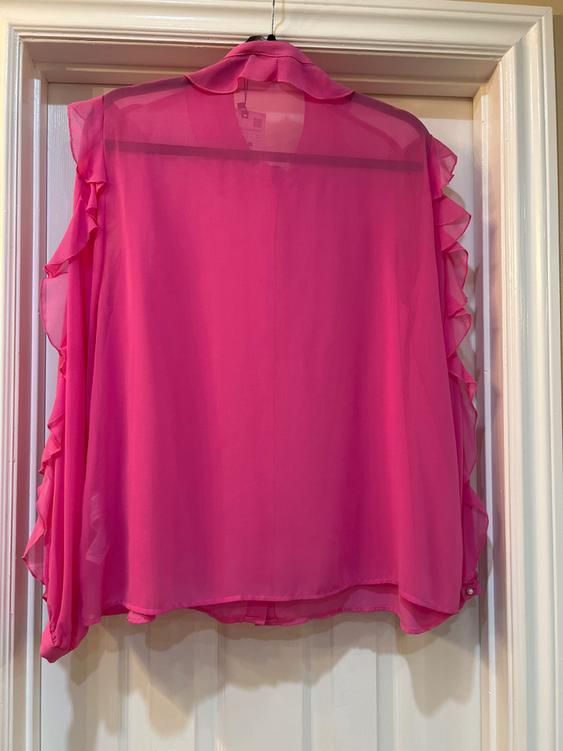 Sheer pink blouse with ruffles on the sleeves, hanging on a white door.