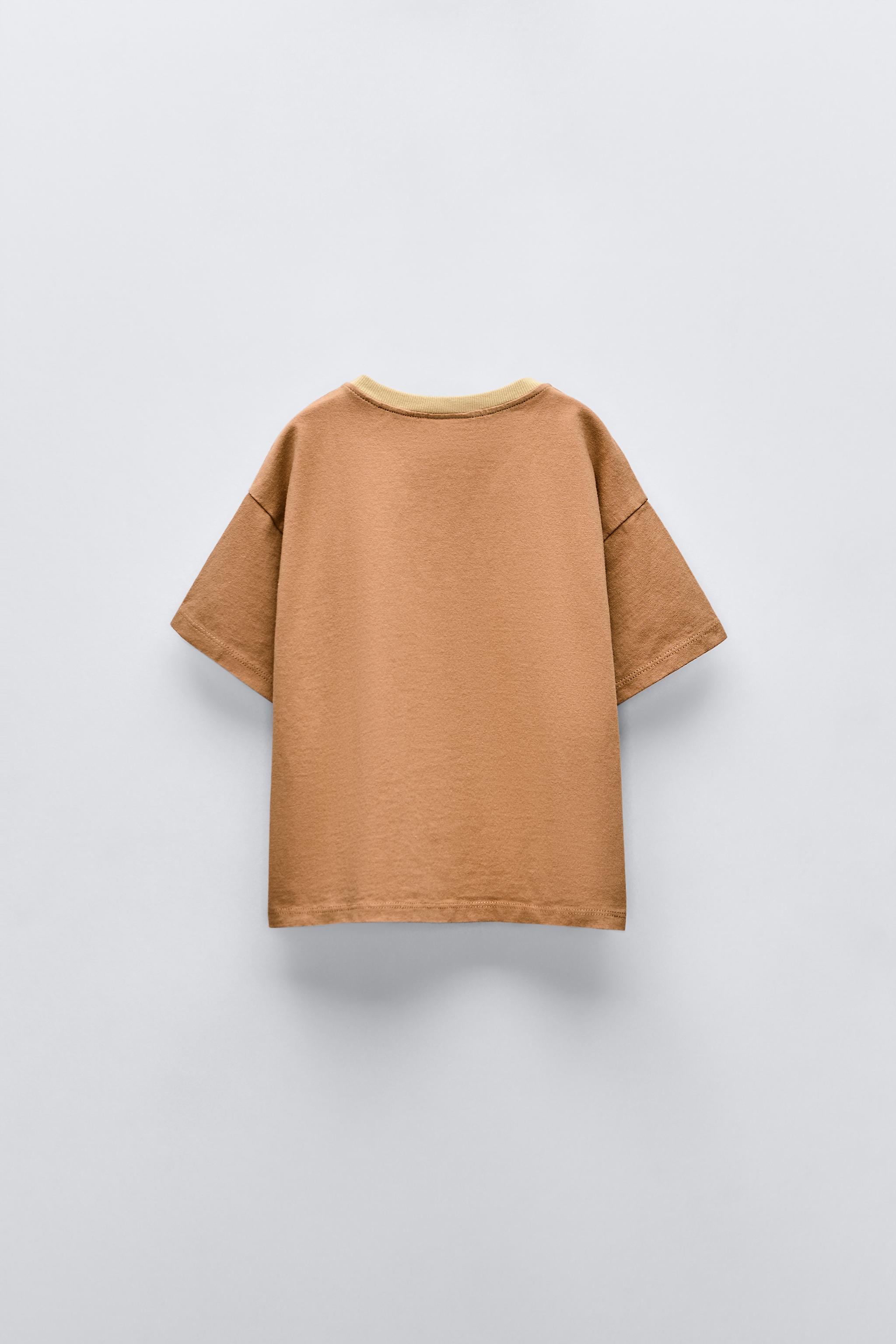 Fish Shirt Zara