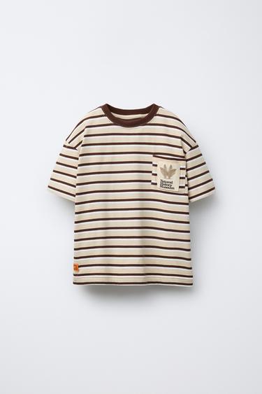 NATURAL HISTORY MUSEUM LONDON © STRIPED POCKET T-SHIRT - striped by Zara