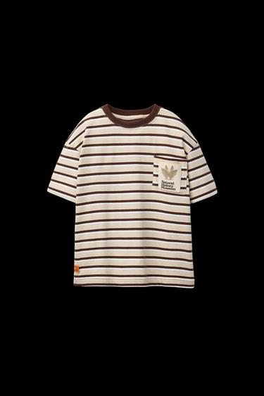 STRIPED T-SHIRT WITH NATURAL HISTORY MUSEUM LONDON © POCKET - striped by Zara - Image 0