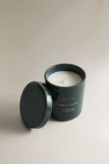 (170 G) BOUGIE PARFUMÉE TOMATO FIELDS - ROUGE de Zara - Image 1