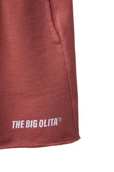 Zara LOGO PLUSH SHORTS - Pink