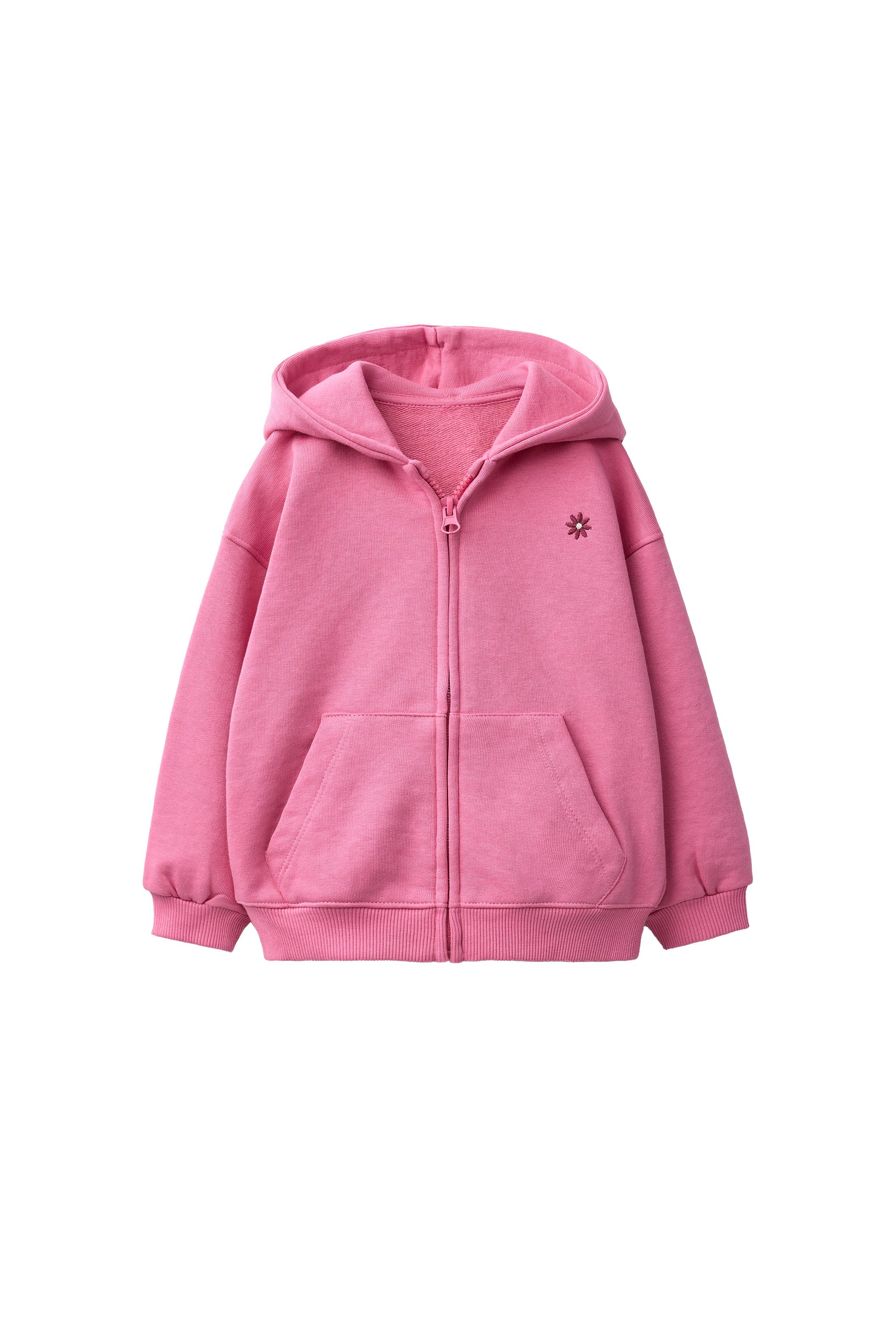 EMBROIDERED ZIP-UP HOODIE - Blue / Lavender | ZARA Turkey