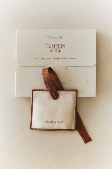 PUMPKIN SPICE CAR AIR FRESHENER - Pumpkin by Zara