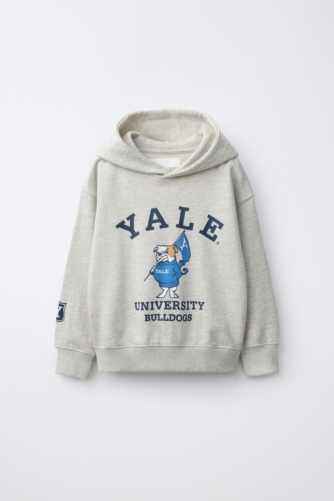 YALE™ PRINT HOODIE — Gray marl