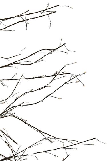 LED LIGHT CHRISTMAS TREE (250 CM) - Brown by Zara