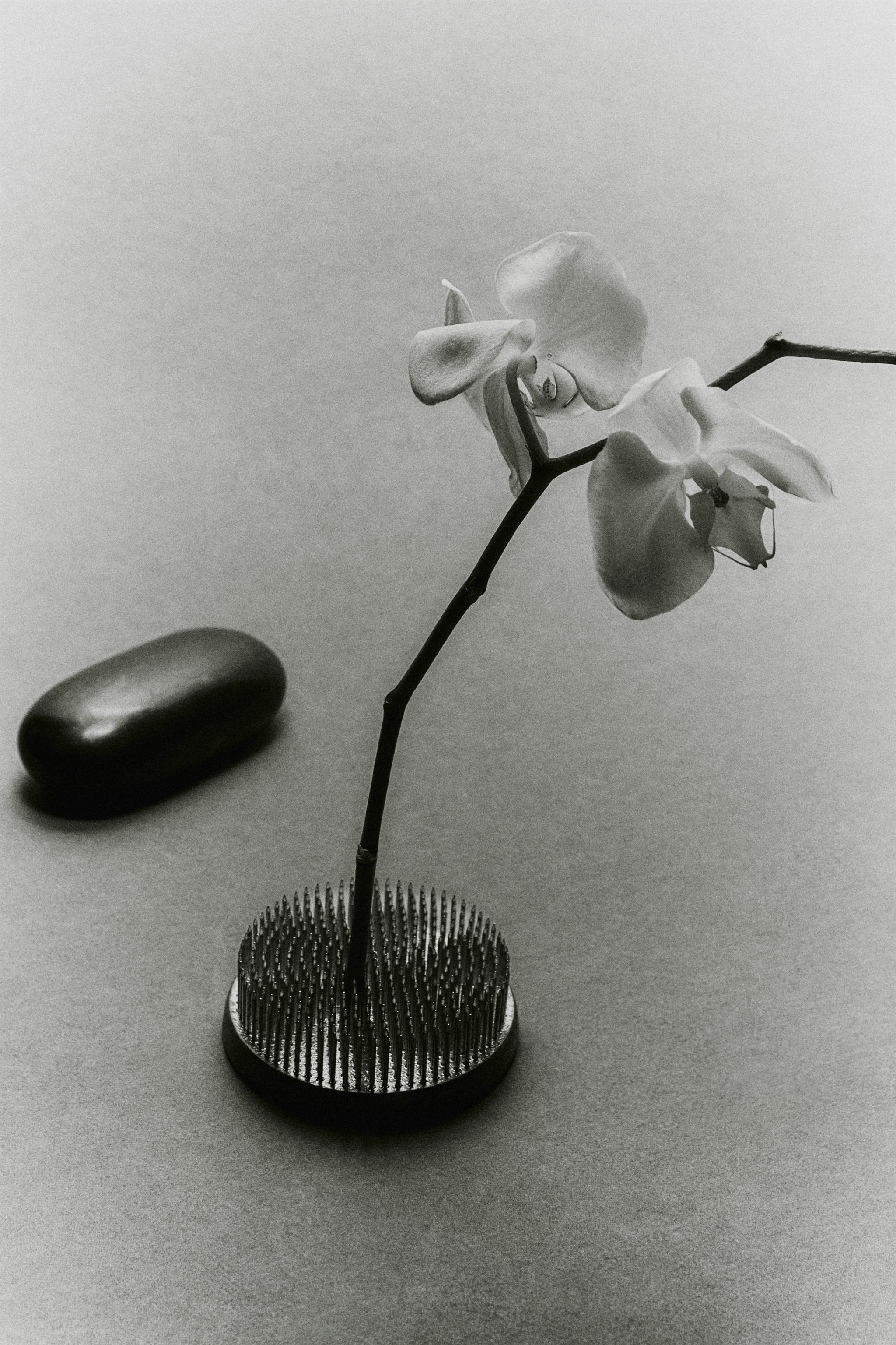 KENZAN FLOWER HOLDER - P | ZARA United States