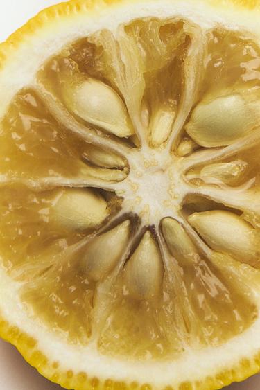 WHITE T-SHIRT EDP 100ML (3.4 FL.OZ). -  de Zara - Image 1