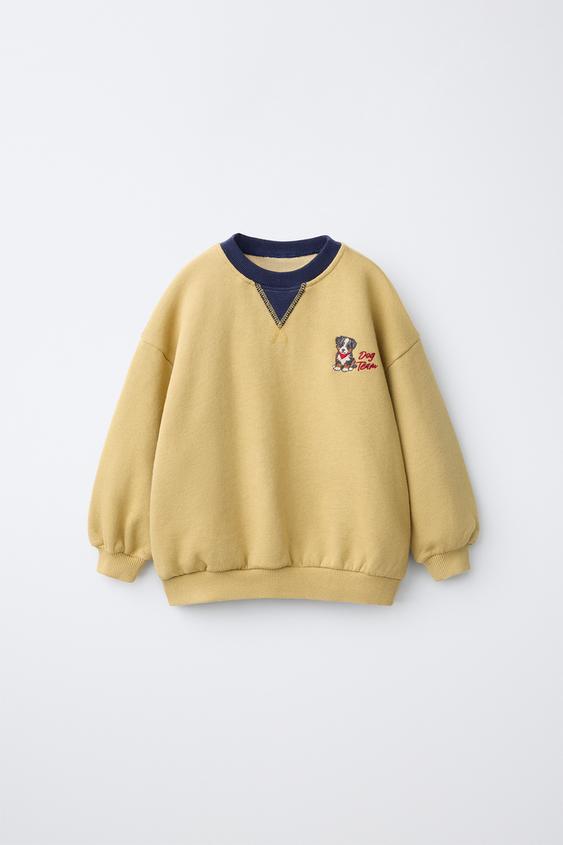 SUDADERA BORDADO PERRO - Amarillo pomelo de Zara - Imagen 0