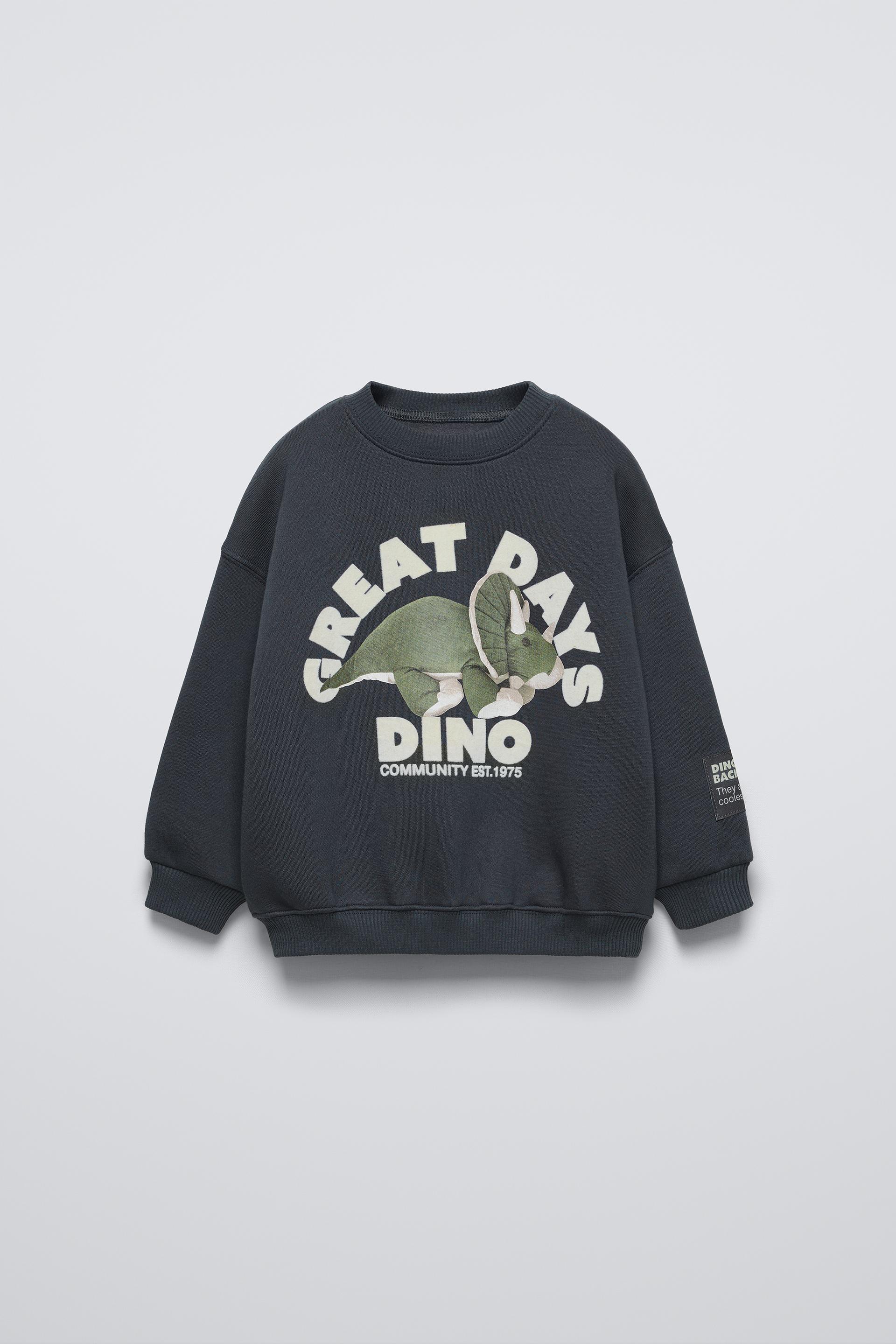 DINOSAUR FLOCK SWEATSHIRT