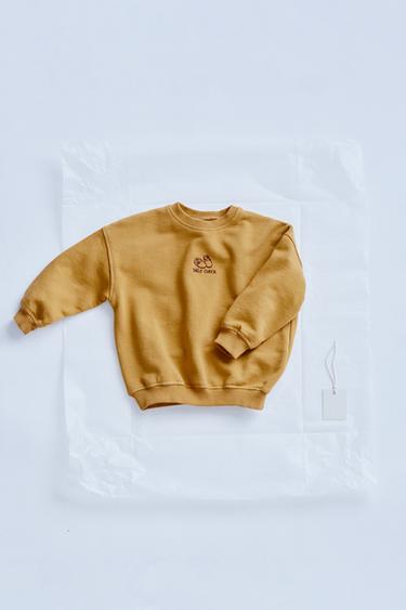 ZARA TIMELESS - EMBROIDERED DETAIL SWEATSHIRT - Beige by Zara - Image 0
