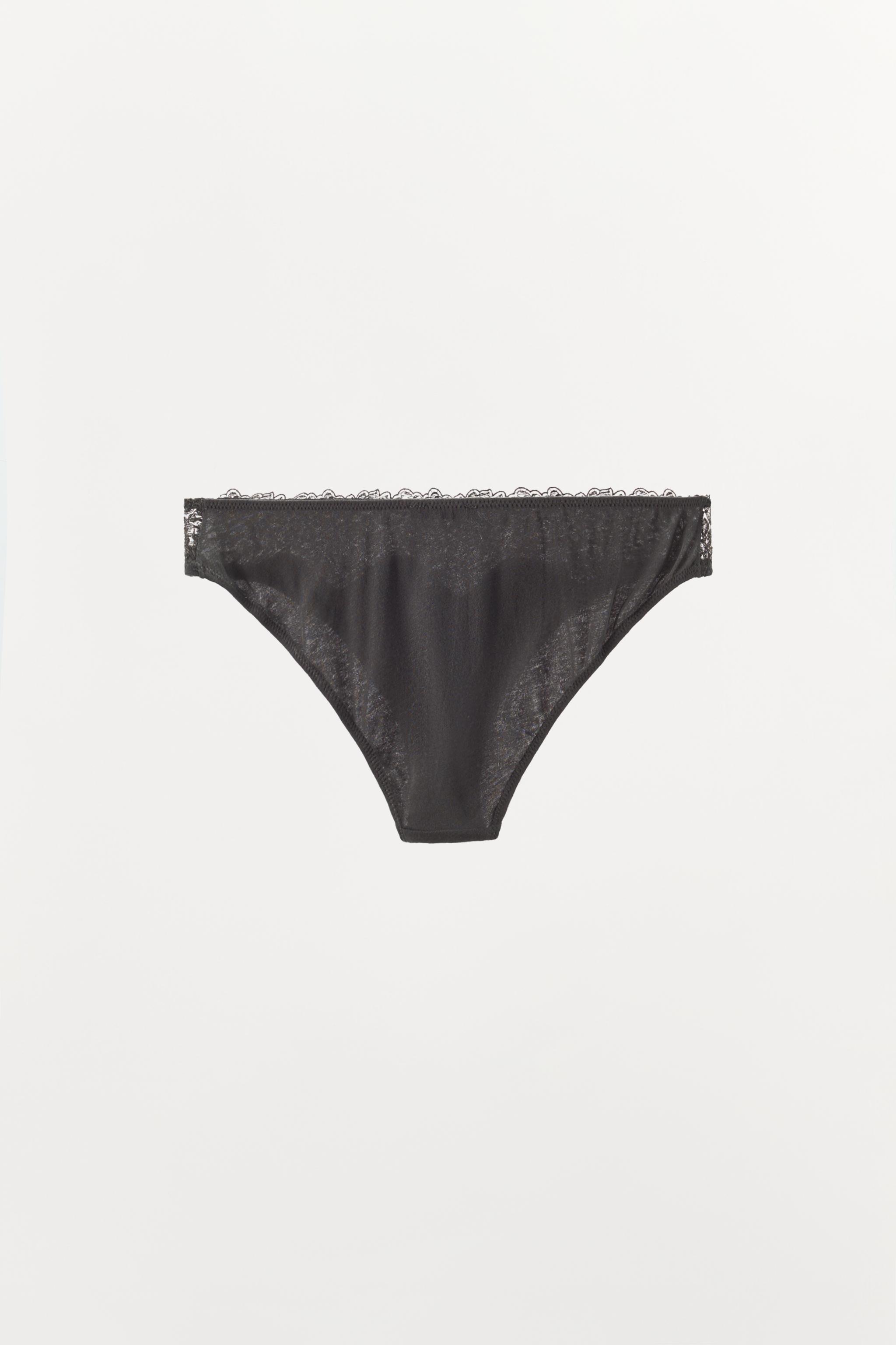 SILK AND LACE BRIEFS