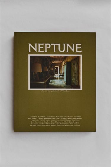 NEPTUNE 01 MAGAZINE - Зелений/екрю Zara