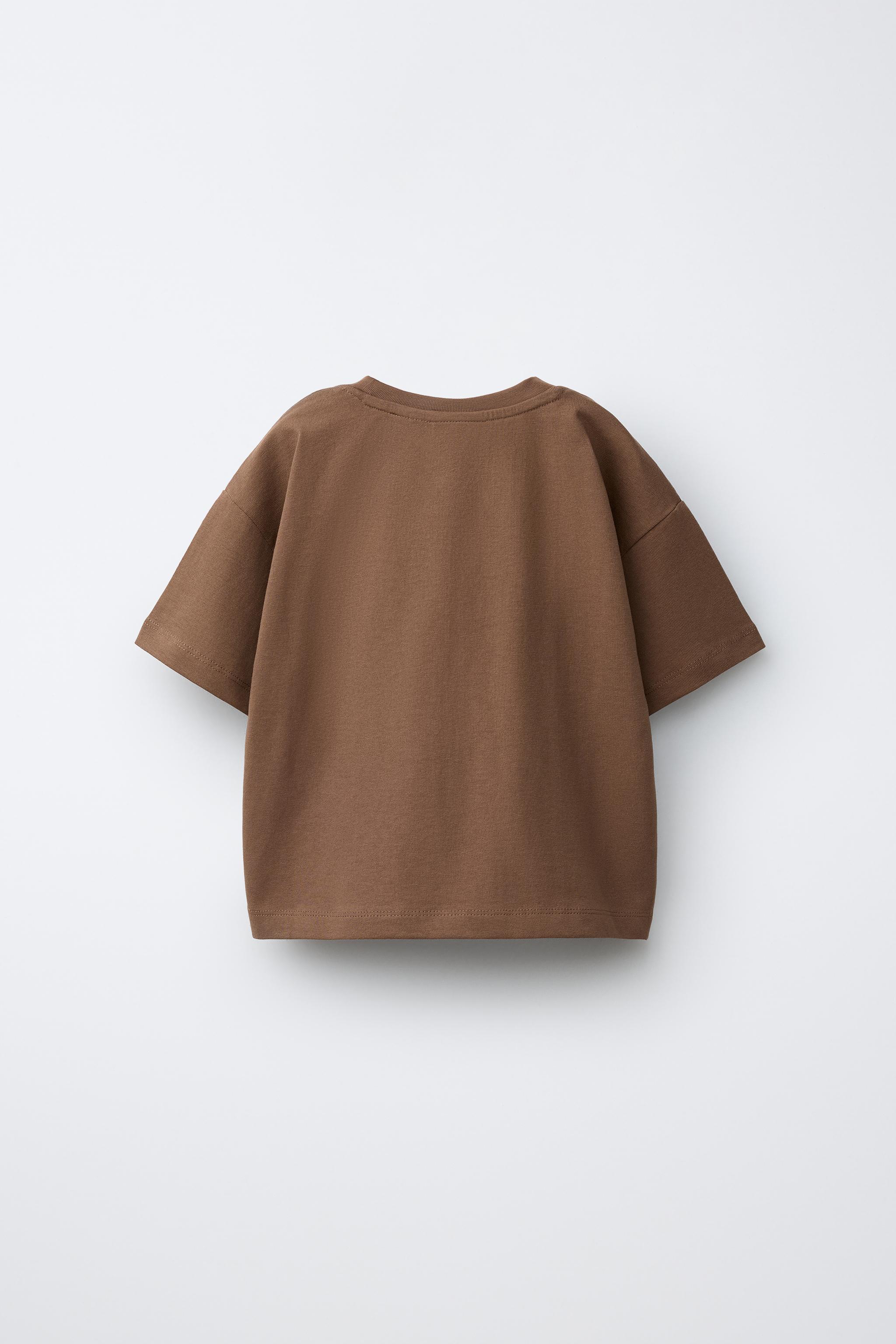 Zimmerli Tシャツ 3枚セット ブルー ブラウン ストライプ＆無地Tシャツ3枚セット - ブラウンブルー | ZARA Japan / 日本