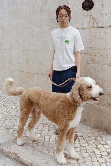 ICE CREAM PRINT T-SHIRT - White by Zara