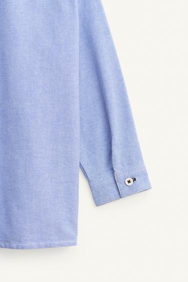 CHEMISE OXFORD RENARD BRODÉ ÉDITION LIMITÉE - Bleu clair de Zara - Image 9