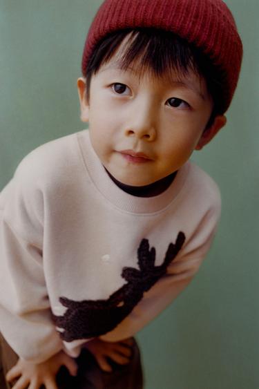 SWEAT PIÈCE RENNE EFFET MOUTON - Pierre de Zara