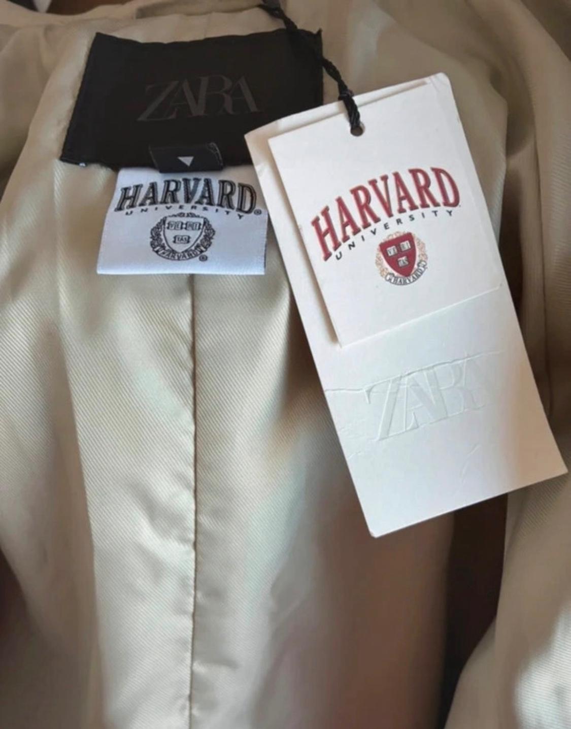 ΚΑΜΠΑΡΝΤΙΝΑ ΜΕ ΚΑΠΑ HARVARD UNIVERSITY - Image 5