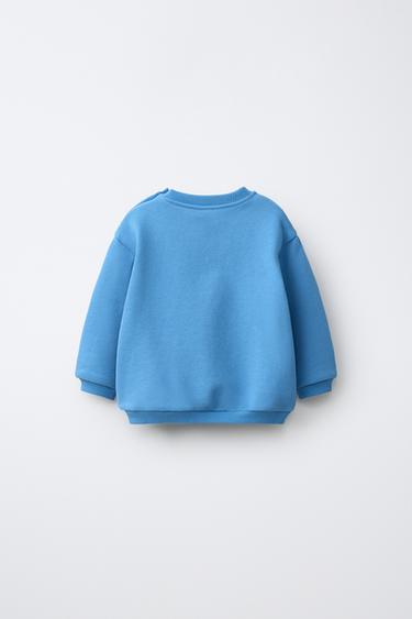 EMBROIDERED TERRY PELICAN SWEATSHIRT - Blue by Zara - Image 1