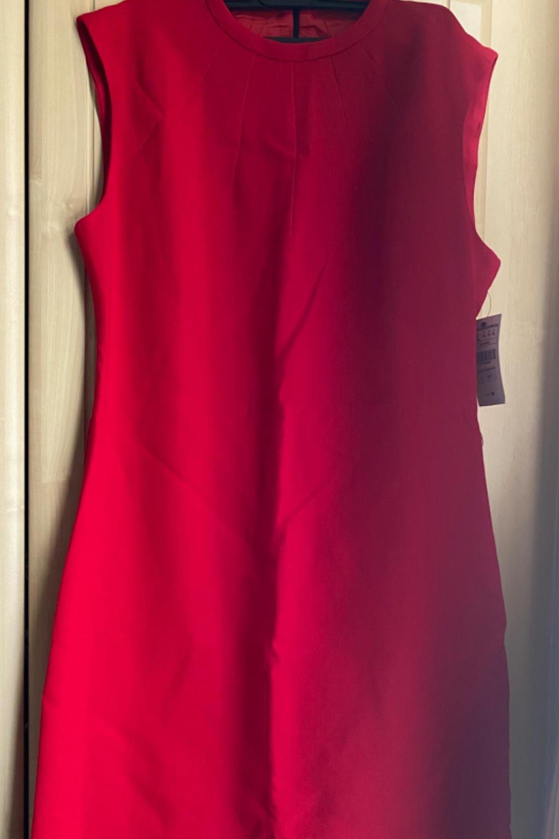 Front view of a sleeveless red dress, with a round neck and bust darts.