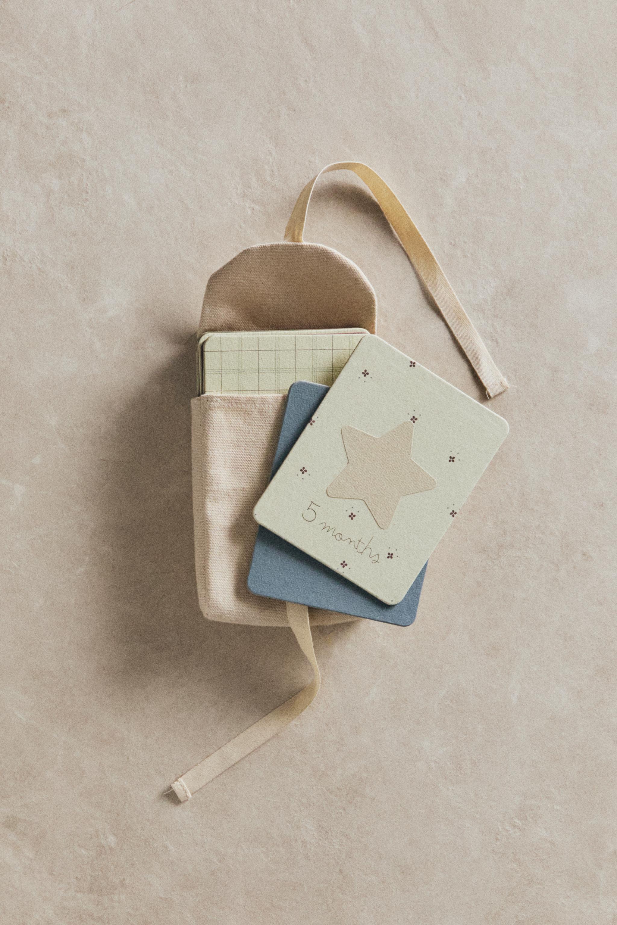 BABY MONTHLY MILESTONE KIT – 12 DONKEY CARDS