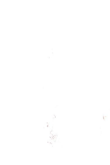 VESTIDO ESTAMPADO FLORES ZW COLLECTION - Rojo / Blanco de Zara