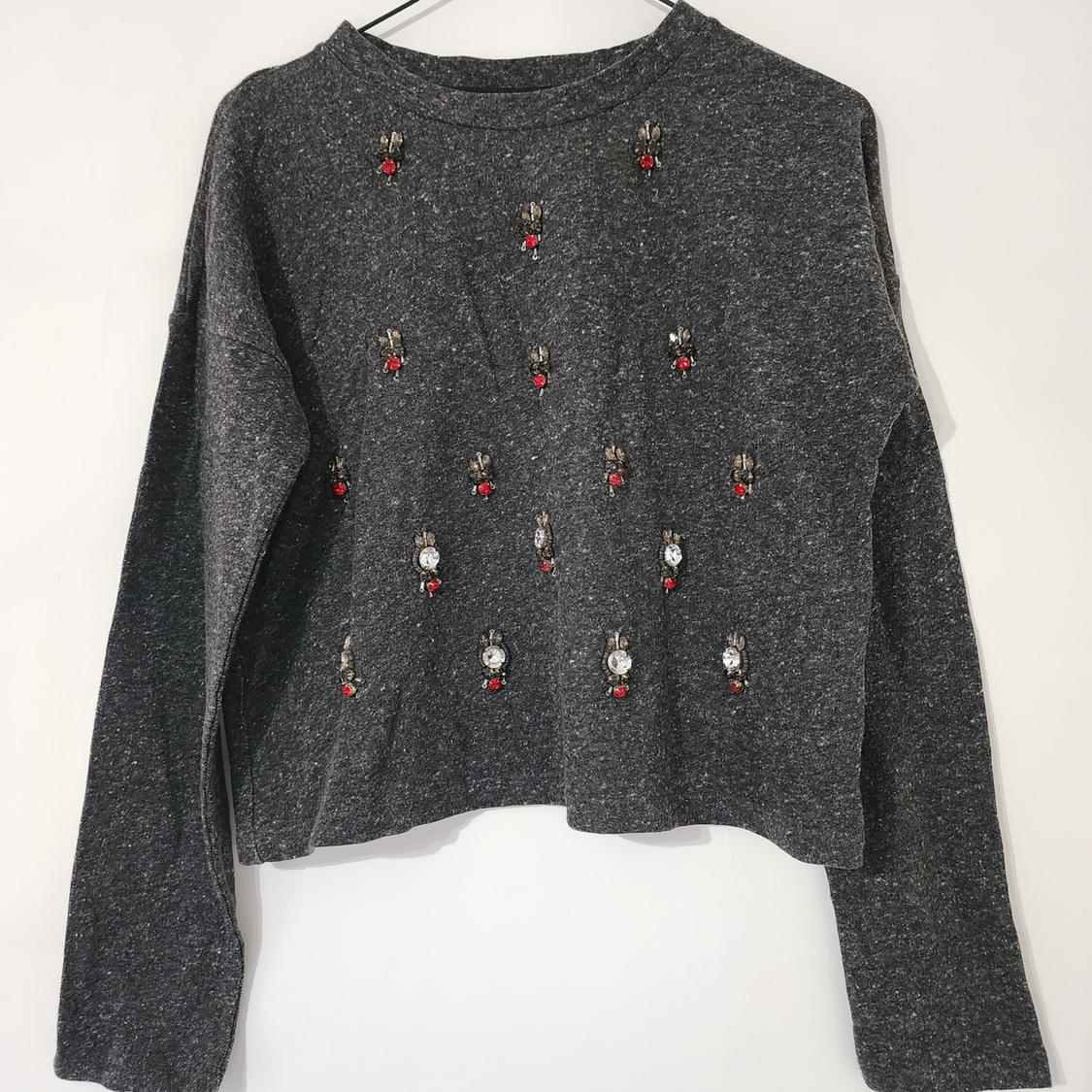 Front view of gray sweater with insect embroidery and red and silver details.