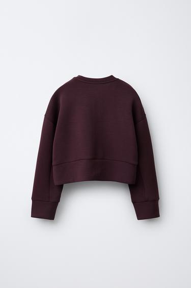 SWEAT BOMBER AVEC MODAL INSCRIPTION EN RELIEF - Prune de Zara - Image 1