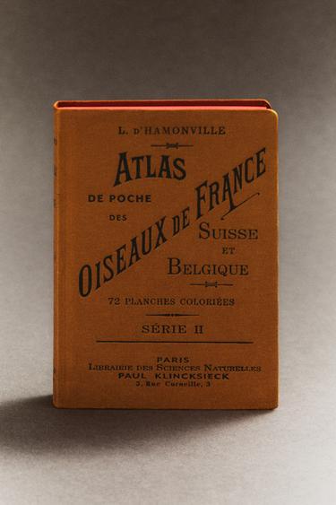 ATLAS DE POCHE DES OISEAUX DE FRANCE SÉR. 2 BOOK - Ochre by Zara - Image 5