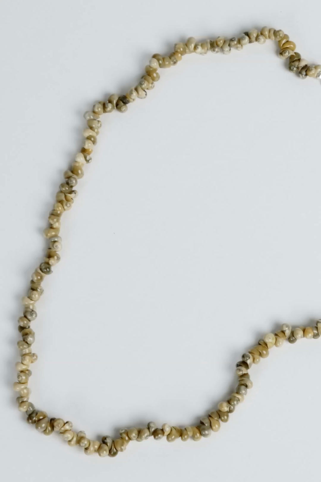 伝説のアントニオ・バッカーリ手作り貝殻ビーズネックレス 8b1e48d658f306704d1c8322b73c25