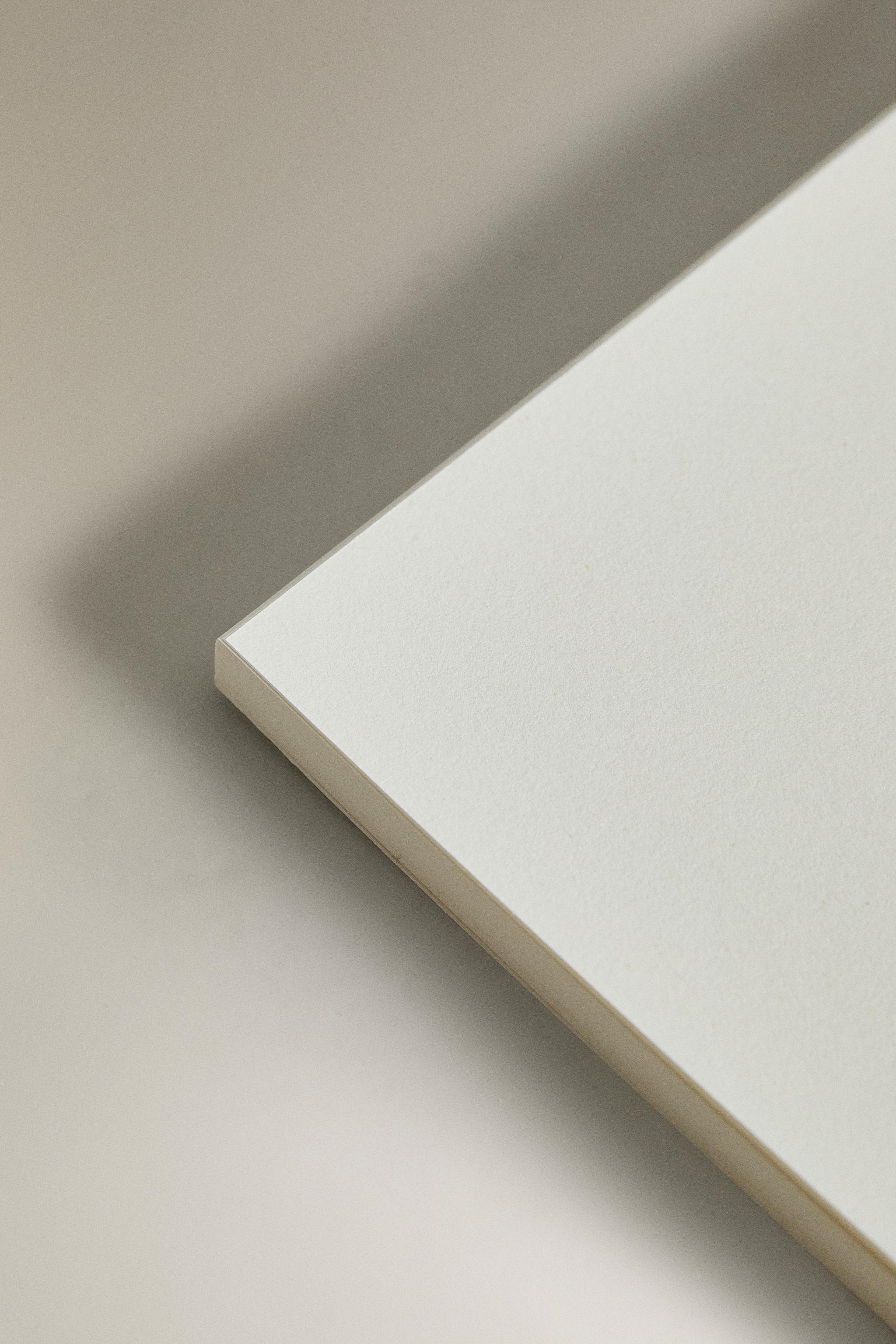 A5 LIMONCELLA X THE ANIMALS OBSERVATORY NOTEBOOK